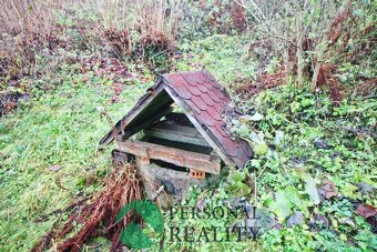 Prodej, chata, 893m2, Čilá, ev.č. 01915 - 9