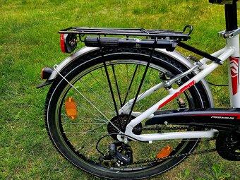 Detske hlinikove kolo Pegasus 24 - 9