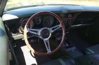 Ford Mustang Mach 1 - 9