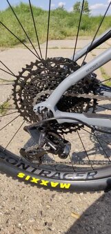 Trek Roscoe 8 19,5 - 9