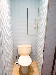 Pronájem vybaveného bytu 1+kk - 9