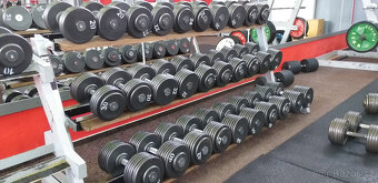 Profi jednoruční činky 2-100kg - 9