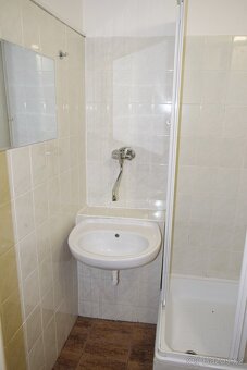 Pronájem bytu 1+kk ve Dvoře Králové n.L. - 9