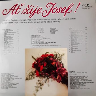 LP desky - ROCK (od 49,-) - 9