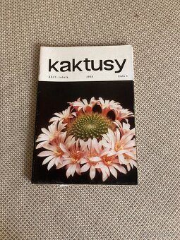 Nábytek z pozůstalosti - starší - 9