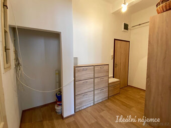 Pronájem bytu 1+1, V Horkách, Nusle, 18.500 Kč/měs, 52 m2 - 9