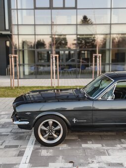Ford Mustang 289 V8 FASTBACK - 9