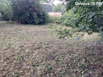 Košení/ mulčování/ revitalizace pozemků a zanedbaných zahrad - 9