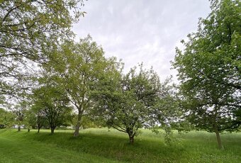 Bezuchov, stavební pozemek 3440m2 - 9
