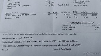 Pásová pila SABRE 250 Power Record - 9