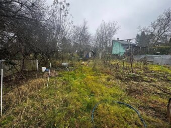 🌿zahrádka ŠAFRANICA V HRANICÍCH 🏡✨ - 9