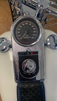 HARLEY DAVIDSON SPRINGERS - 9