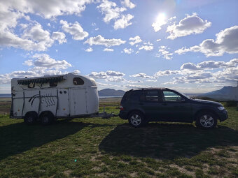 přepravník na koně - 9