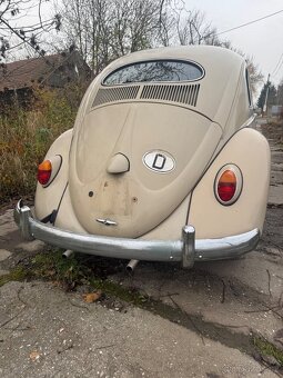 Volkswagen Brouk 1953 - 9