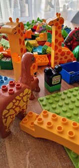 Duplo mix 3,8 kg – zvířata, dinosauři, podložky - 9