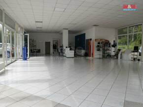Prodej obchodního objektu, 381 m², Toužim - 9