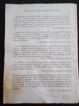S devatenáctkou do Bernu - 9