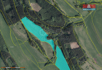Prodej louky, 121606 m², Stárkov - Bystré - 9