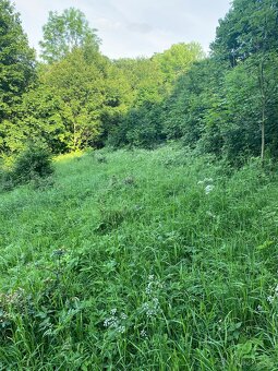 Pronajmu zahradu - 9