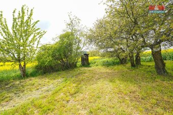 Prodej pole, 6672 m², Pláň, Ostrov u Bezdružic - 9