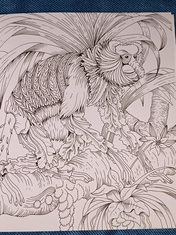 Omalovánky pro dospělé Exotický prales - 9