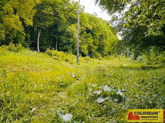 Brno - Sadová, orná půda - 2613 m2 - pozemek, ev.č. E370L015 - 9