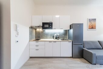 Стильна 2kk квартира в центрі Праги (Žižkov) - 9