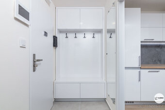 Pronájem vybaveného bytu 3+kk s balkonem, ul. Wolkerova, Frý - 9