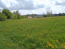 Prodej komerčního pozemku až 38 000 m² v Turnově - 9