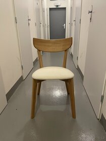 Jídelní židle z dubového dřeva Arch(30 kusu) - 9