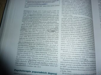 Odborná kniha "Postupy v léčbě psychických poruch" - 9