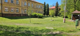 Údržba zeleně - 9