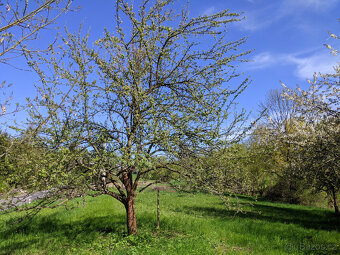 Prodám zahradu 2000m² - Frýdštejn - Sestroňovice - 9