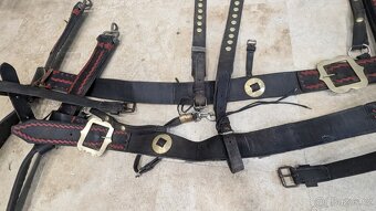 Prodám párové postroje do kočáru s chomouty - 9