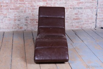 Elegantní hnědá lenoška - 9