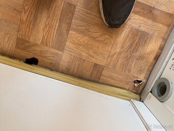 Stavební buňka / dva oddělené vstupy / 6m Containex - 9