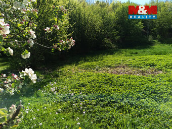 Prodej pozemku, 2141 m², Rychnov nad Kněžnou - 9