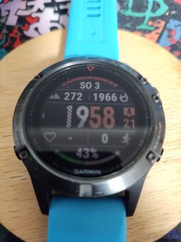 Garmin Fénix 5 - 9
