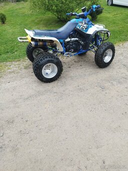 Yamaha Warrior 350 - 9