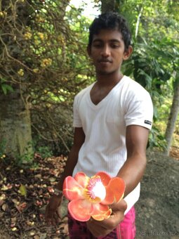 Srí Lanka - 9