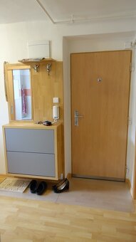 Pronájem cihlového bytu 2+1, 58m² po celkové rekonstrukci - 9