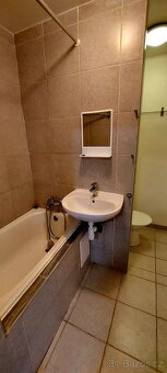 Pronájem bytu 2+kk, Hodonín, Lužní 1 - 9
