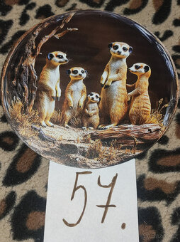 Pejskové,štěnátka - Plechové cedule - 9