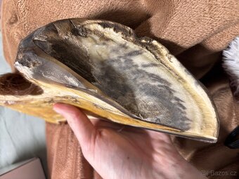 Anatomický model - koňská končetina - 9