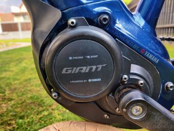 Giant Liv Vall-E+ 3 Power 2019 - 9