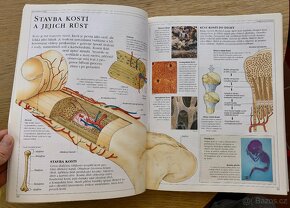 Lidské Tělo encyklopedie pro mladší, přírodopis - 9