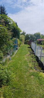 Prodej zahrady 206 m² - 9