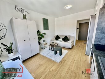 Pronájem, byty/1+kk, 24.6 m2, Bratislavská 946/80, Zábrdovic - 9