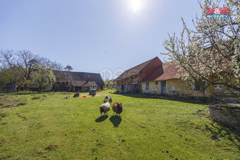 Prodej pozemku k bydlení, 5903 m², Suchdol - Dobřeň - 9