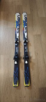 Prodám lyžařské boty a lyže - 9